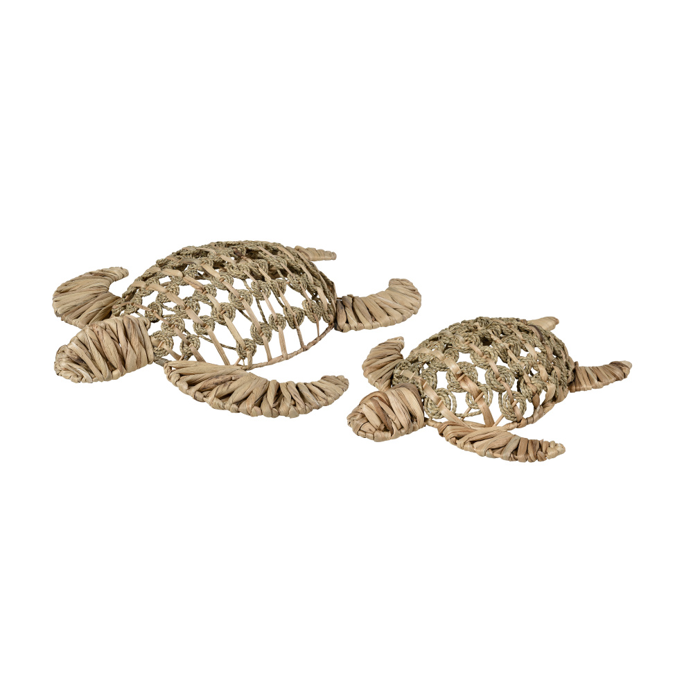 AHLEM CONSTANTINE / LIGHT TURTLE 訳あり商品 Your Lighting Source - Connecticut's Premier Lamp, Lighting, and