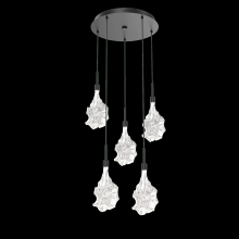 Hammerton CHB0059-05-MB-BC-C01-L3 - Blossom Round 5pc Multi-Pendant