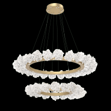 Hammerton CHB0059-2B-HB-BC-CA1-L1 - Blossom Two-Tier Ring
