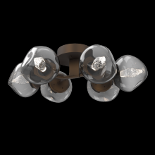 Hammerton CLB0095-01-FB-GS-L1 - Luna Flush Mount - 6pc
