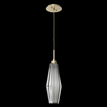 Hammerton LAB0049-19-HB-RS-C01-L1 - Aalto Pendant - 19-Inch