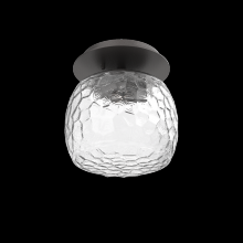 Hammerton SMB0091-01-GP-C-L1 - Single Glass Sconce & Flush Mount - Vessel